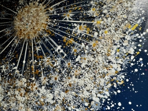 Nr. 198 I Angebot SALE % / Tetrad Sofa Amili / Stoff / Ausstellungsware sofort verfügbar