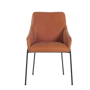 Nr. 30 / Stuhl / in Leder / ab 1149 €